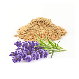 Lavender Sandalwood Body Oil